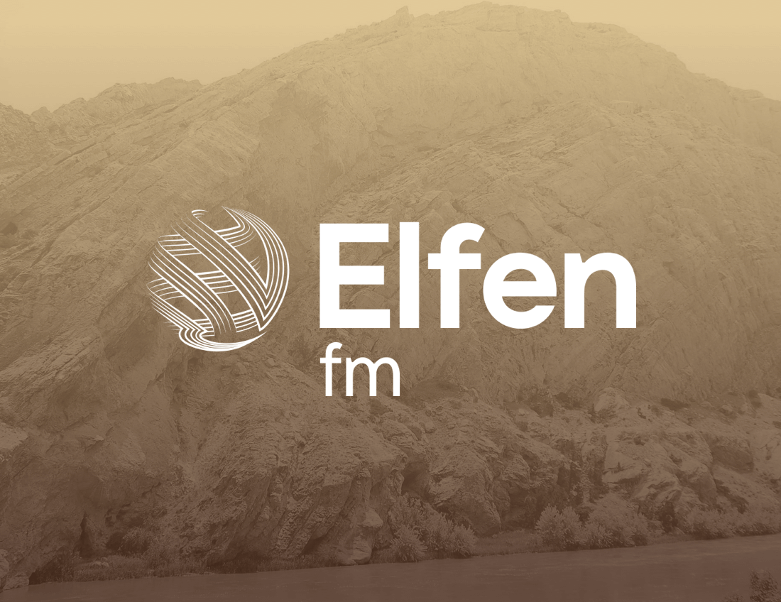 Elfen Forward Modelling Software