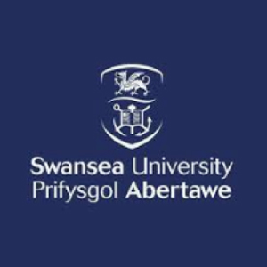 University of Swansea