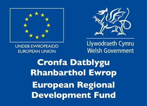 ERDF.png
